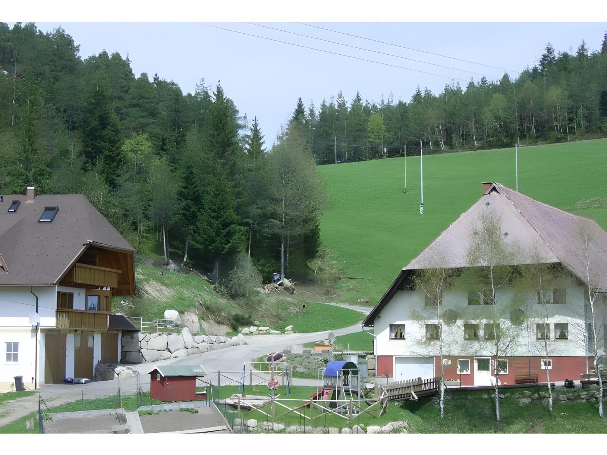 Hinterhauensteinhof Villa Hornberg Dış mekan fotoğraf